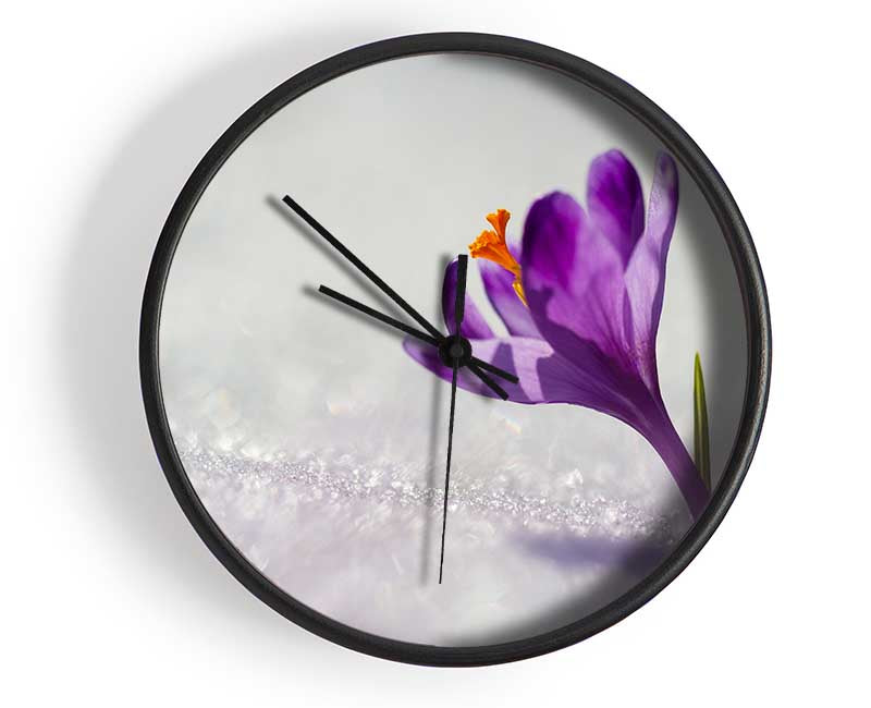 Purple Crocus flower Clock - Wallart-Direct UK