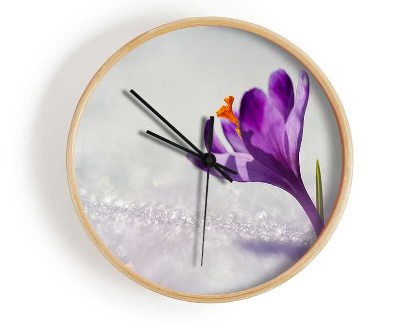 Purple Crocus flower Clock - Wallart-Direct UK