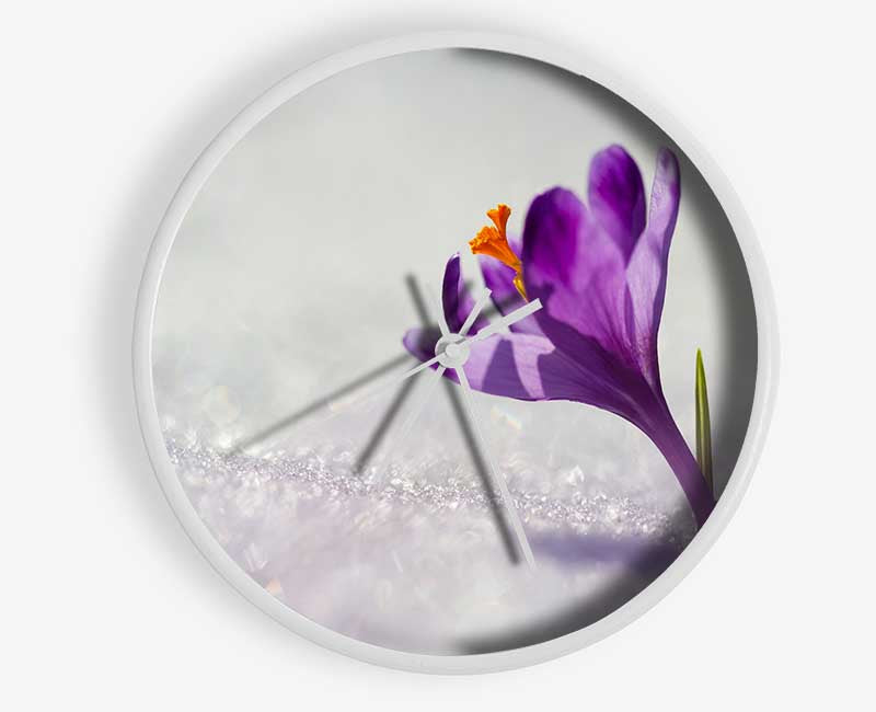 Purple Crocus flower Clock - Wallart-Direct UK