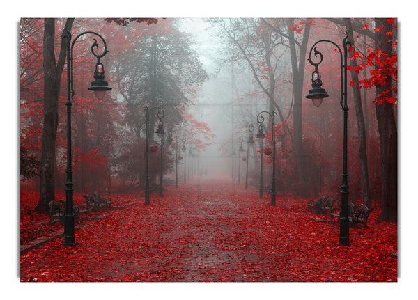 Red Autumn leaves streetlights