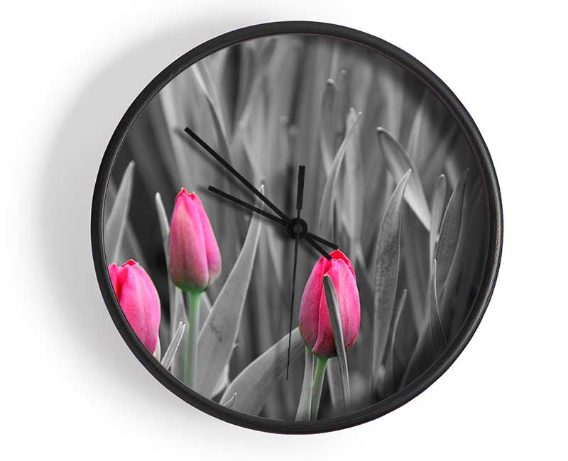 Pink tulips black and white Clock - Wallart-Direct UK