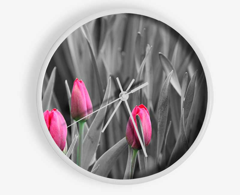 Pink tulips black and white Clock - Wallart-Direct UK