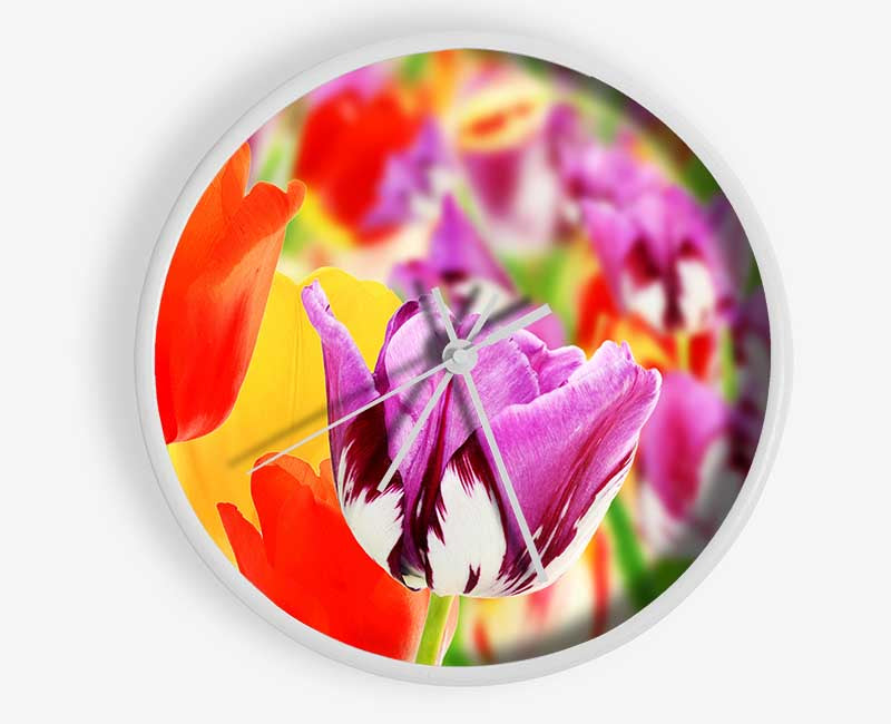 Colourful tulips in up close Clock - Wallart-Direct UK