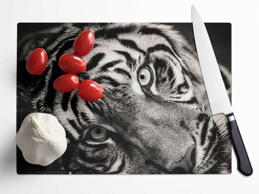 Up close tiger lying down Glass Chopping Board