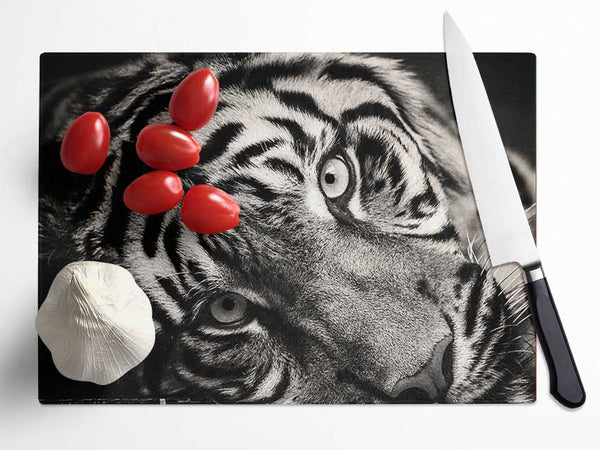 Up close tiger lying down Glass Chopping Board