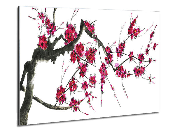 Cherry blossom illustration