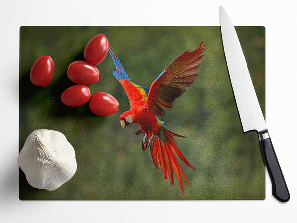 Red Mccaw in flight Glass Chopping Board