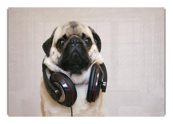 Cool pug wearing headphones