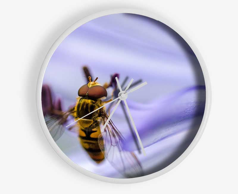 Hover fly on a purple flower Clock - Wallart-Direct UK