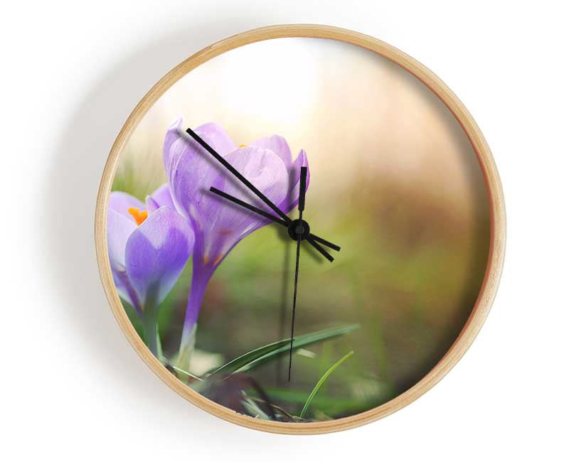 Purple crocus in soft focus Clock - Wallart-Direct UK