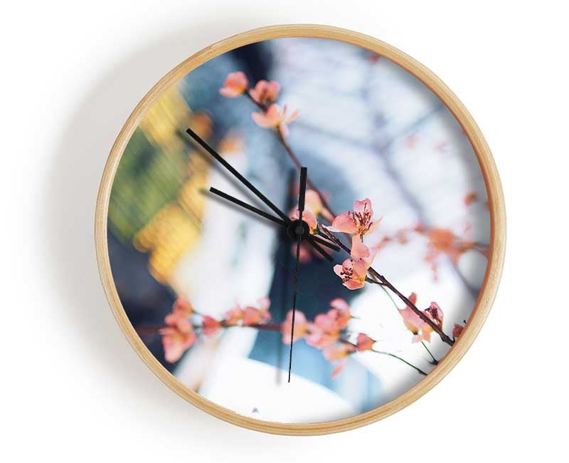 Cherry blossum in focus Clock - Wallart-Direct UK