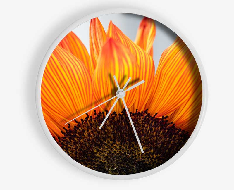 Orange flower opening up close up Clock - Wallart-Direct UK