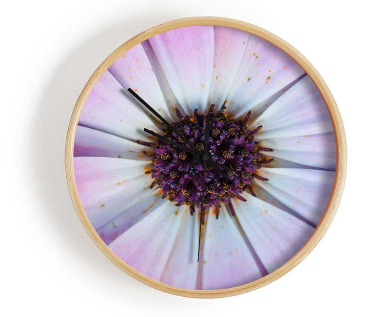 Purple flower close up and personal Clock - Wallart-Direct UK