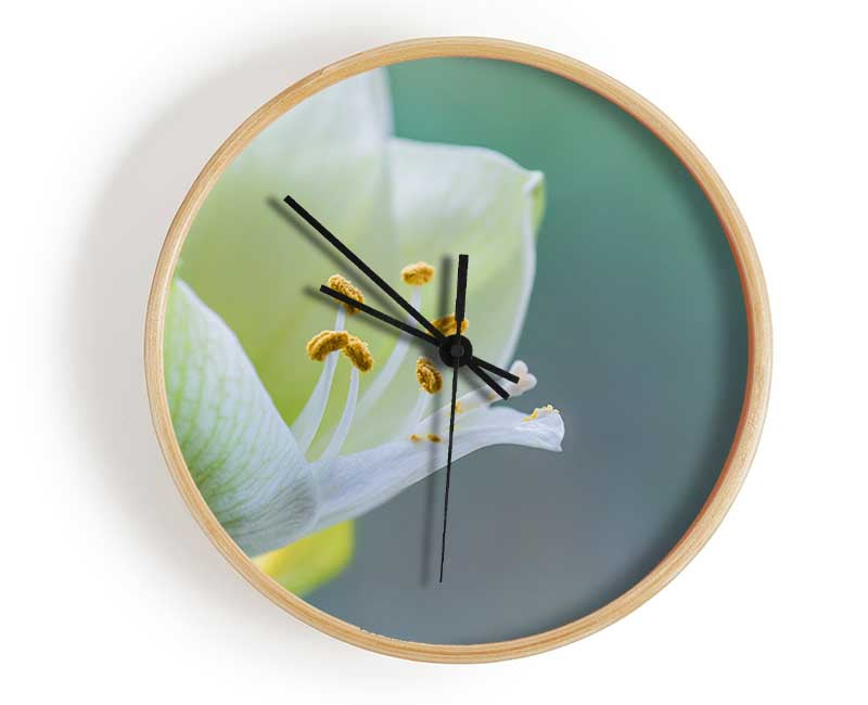 White flower with pollen Clock - Wallart-Direct UK