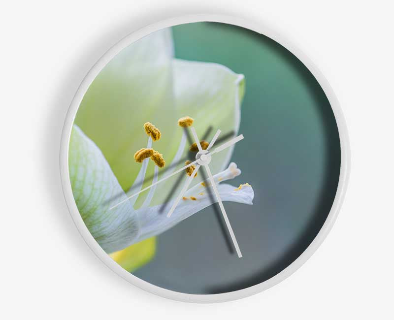 White flower with pollen Clock - Wallart-Direct UK