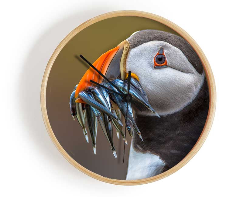 Puffin with a mouthall of fish Clock - Wallart-Direct UK