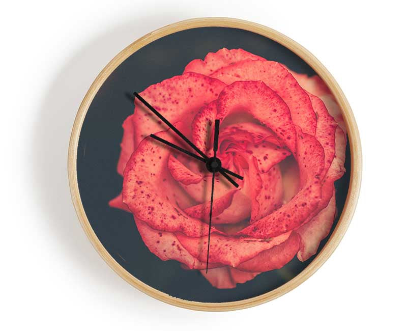 Pretty speckled flower Clock - Wallart-Direct UK