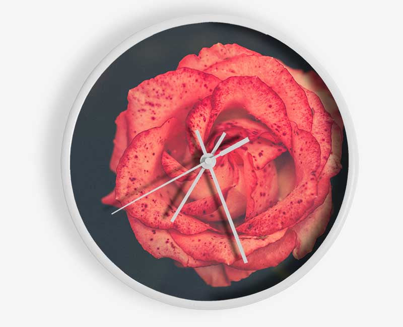 Pretty speckled flower Clock - Wallart-Direct UK