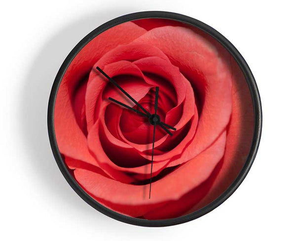 Rose coloured flower Clock - Wallart-Direct UK