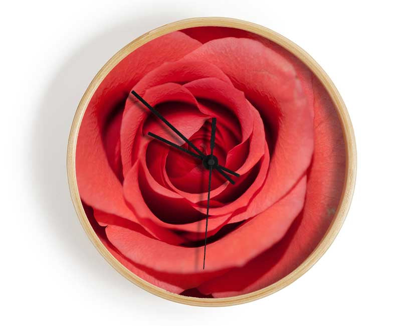 Rose coloured flower Clock - Wallart-Direct UK