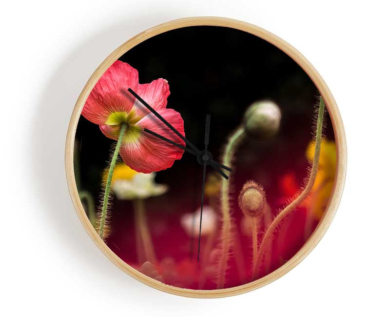 Poppy standing tall Clock - Wallart-Direct UK