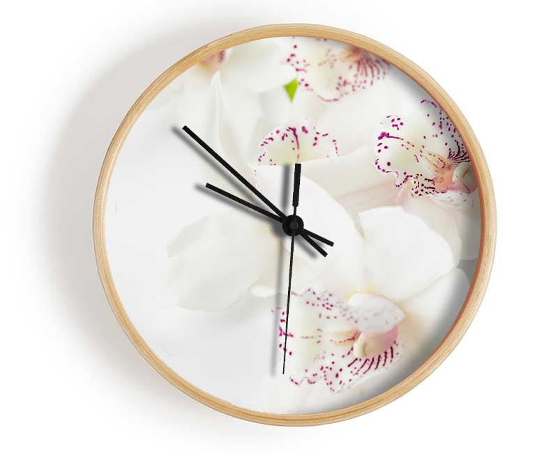 Orchid bliss Clock - Wallart-Direct UK