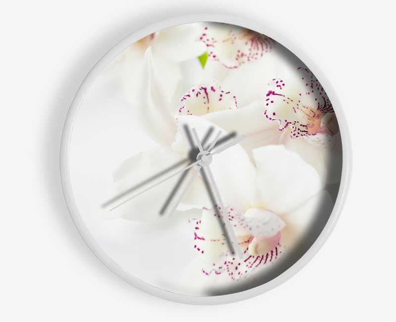 Orchid bliss Clock - Wallart-Direct UK