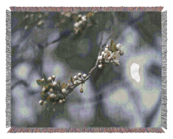 White blossom tree in soft focus Woven Blanket