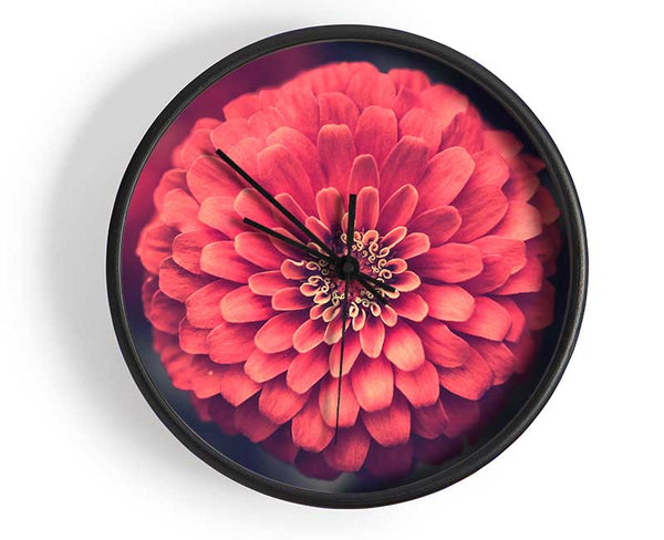 Circular flower perfectly balanced Clock - Wallart-Direct UK