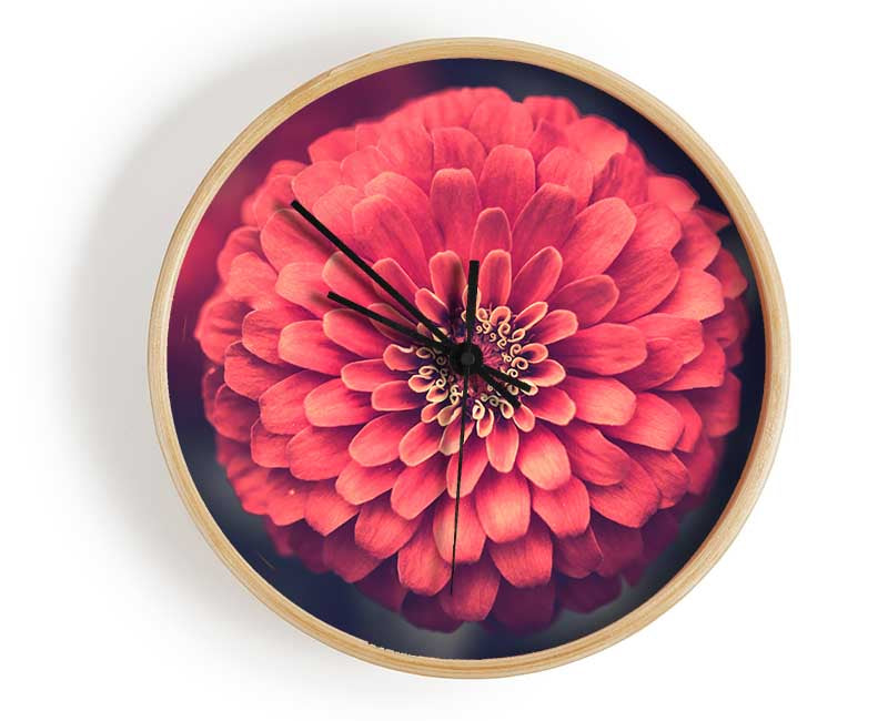 Circular flower perfectly balanced Clock - Wallart-Direct UK