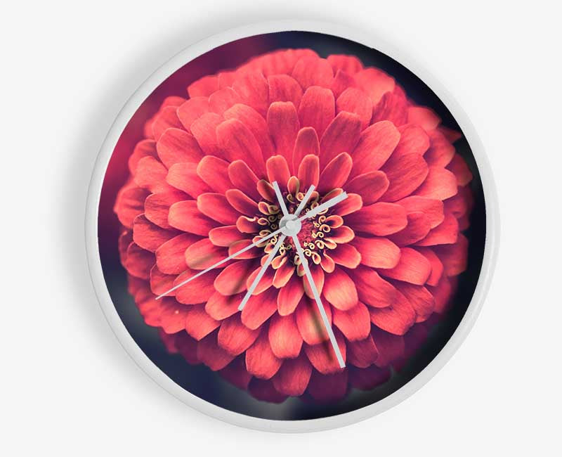 Circular flower perfectly balanced Clock - Wallart-Direct UK