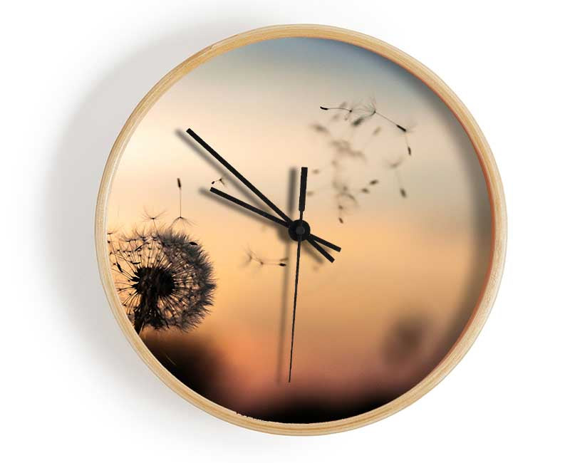 Dandellion Seeds floating Clock - Wallart-Direct UK