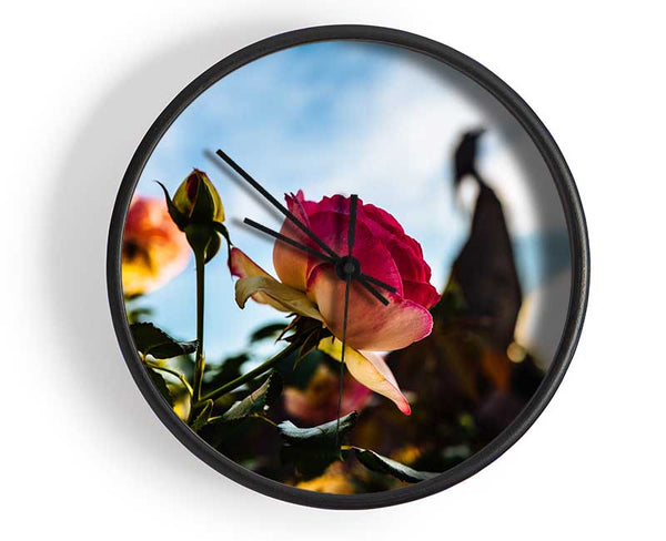 Red rose sunning Clock - Wallart-Direct UK