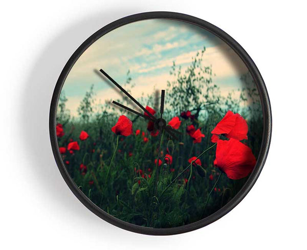 Red poppies on a windy day Clock - Wallart-Direct UK