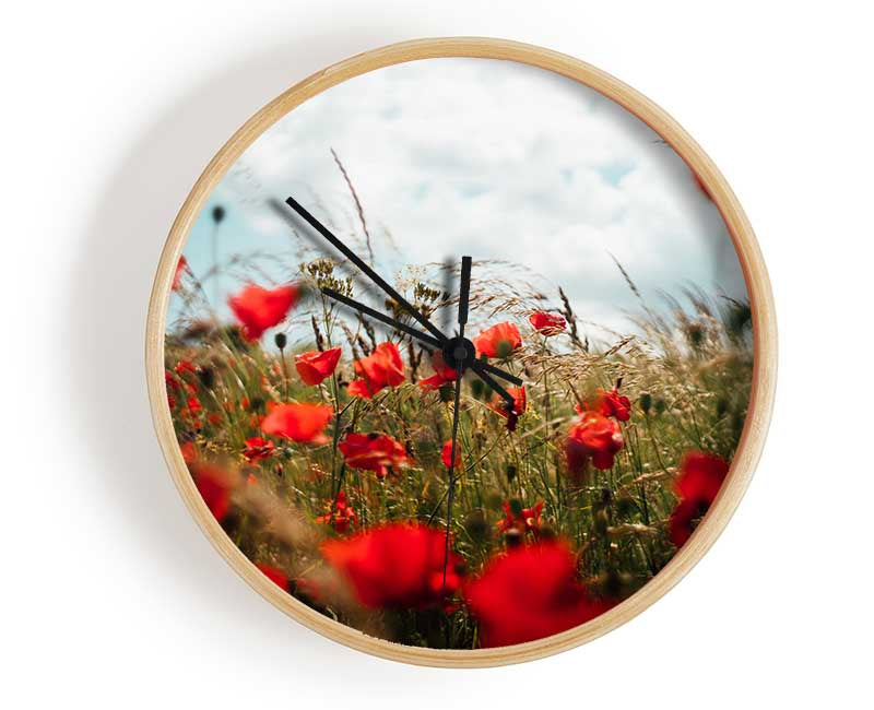 Red Poppies reaching the sky Clock - Wallart-Direct UK