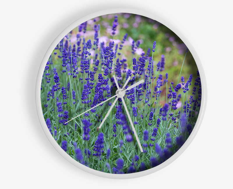 Purple flowers in the meadow spring Clock - Wallart-Direct UK