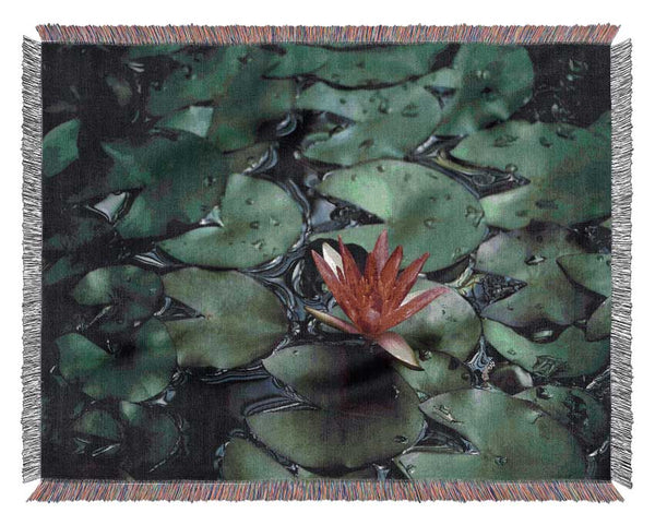 Lotus peering above the lilly pads Woven Blanket