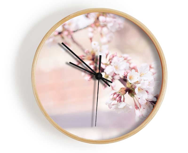 Cherry blossoms decending branch Clock - Wallart-Direct UK