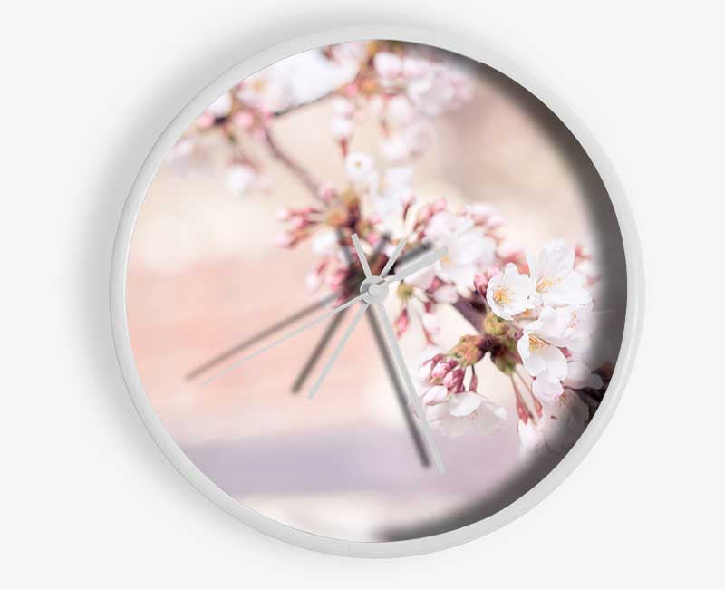 Cherry blossoms decending branch Clock - Wallart-Direct UK