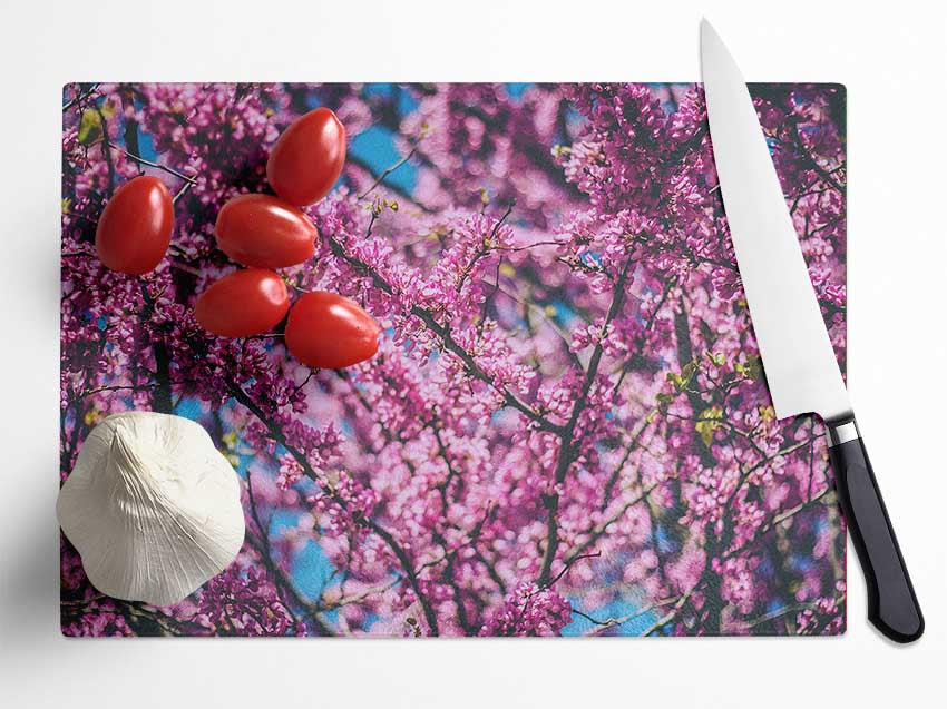 tree blossom flowers on a blue sky Glass Chopping Board