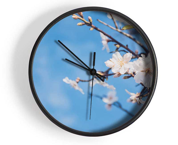 White blossom flowers  off a branch Clock - Wallart-Direct UK