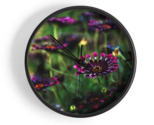 Star flowers suspending off the ground Clock - Wallart-Direct UK