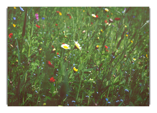 Springtime flowers greenery