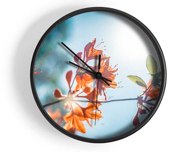 Sun shinging through the twigs and leaves Clock - Wallart-Direct UK