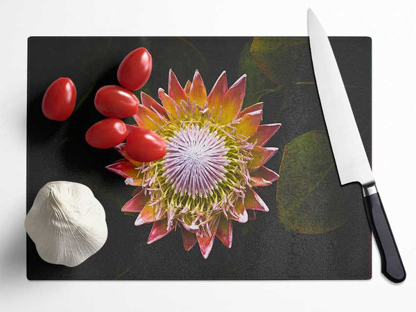 Star big flower Glass Chopping Board