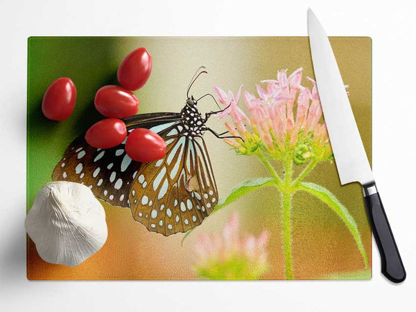 Butterfly feeding time Glass Chopping Board