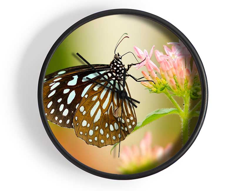 Butterfly feeding time Clock - Wallart-Direct UK