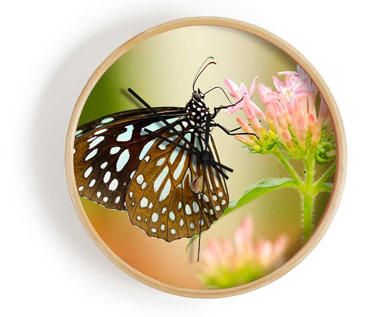 Butterfly feeding time Clock - Wallart-Direct UK