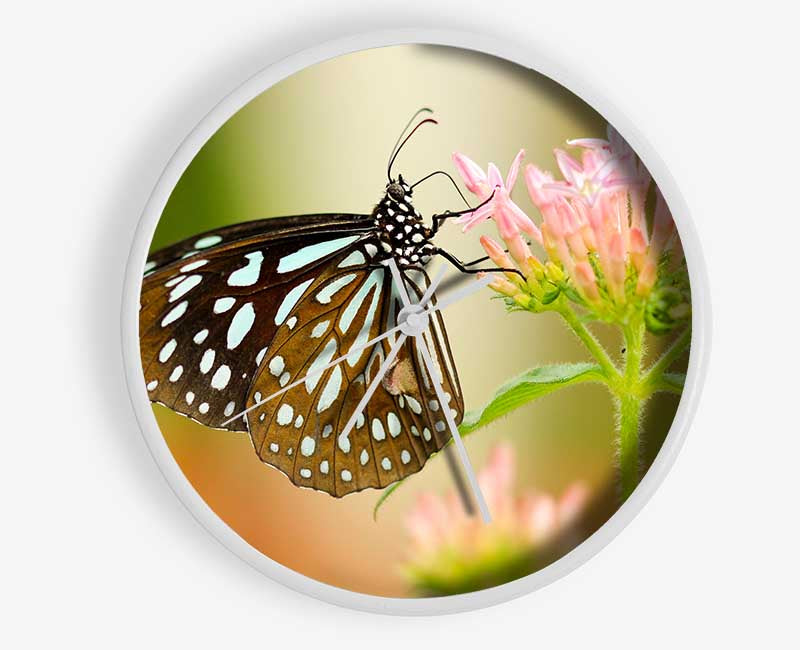 Butterfly feeding time Clock - Wallart-Direct UK