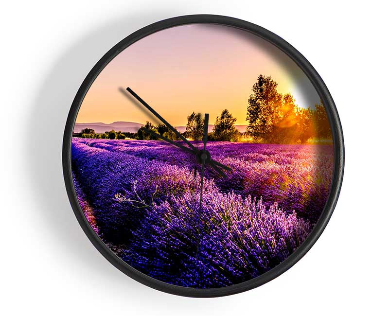 Sunflare over the lavender Clock - Wallart-Direct UK